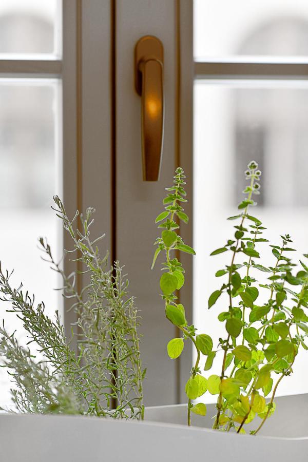Hotel Herbal 3*