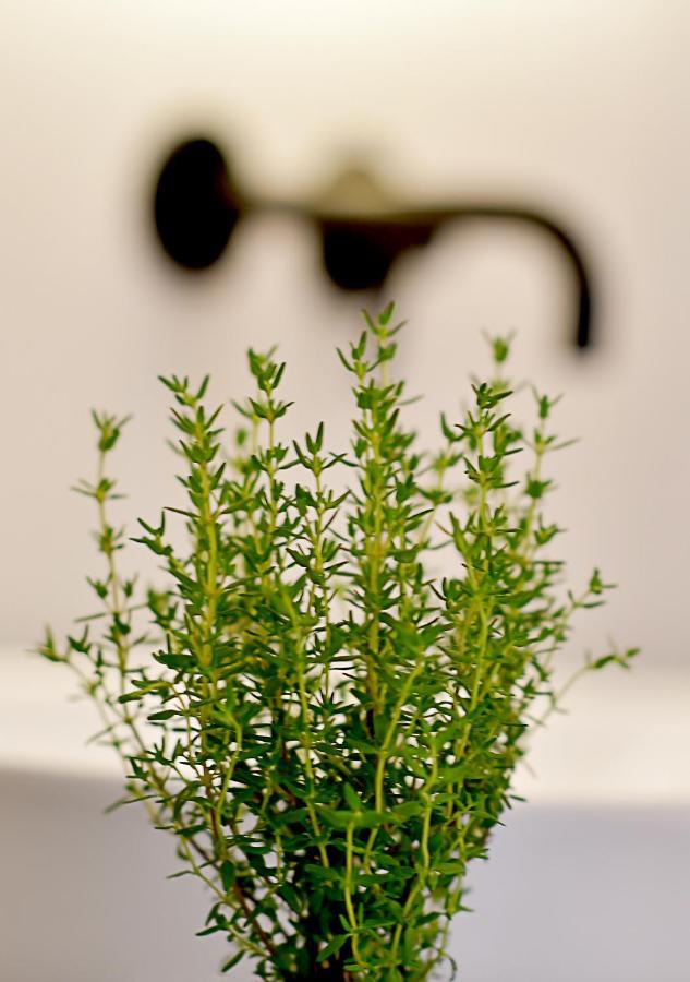 Hotel Herbal 3*